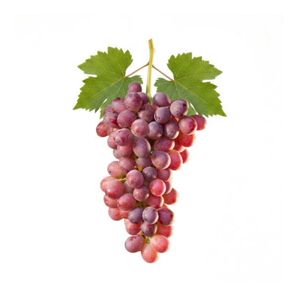 Scarlotta Seedless®