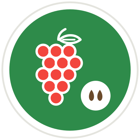 Uva rossa con semi