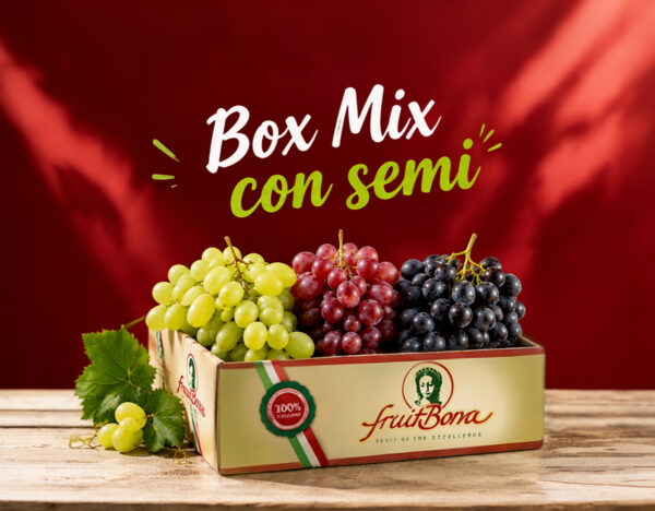 Box Mix con semi