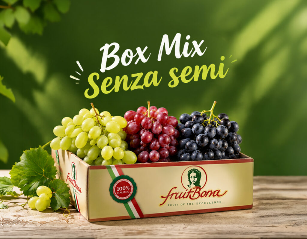 Box Mix senza semi